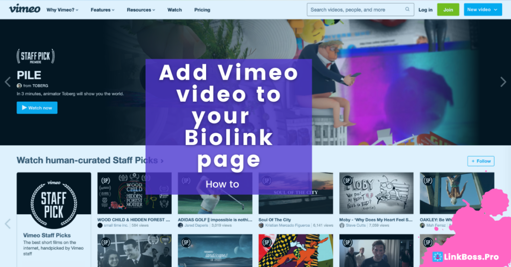 LinkBossPro add Vimeo Video to your Biolink page blog cover image