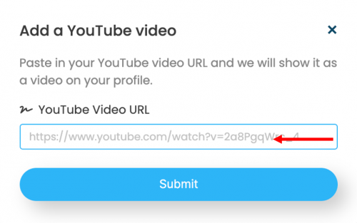 LinkBossPro add youtube video to your page setup details box