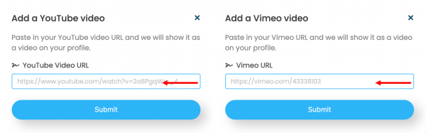 LinkBossPro Artist add vimeo or YouTube video to page URL input image